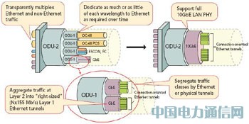 ����FPGA���F100G����;W