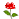 �DƬ�c�������´��ڴ��_�鿴